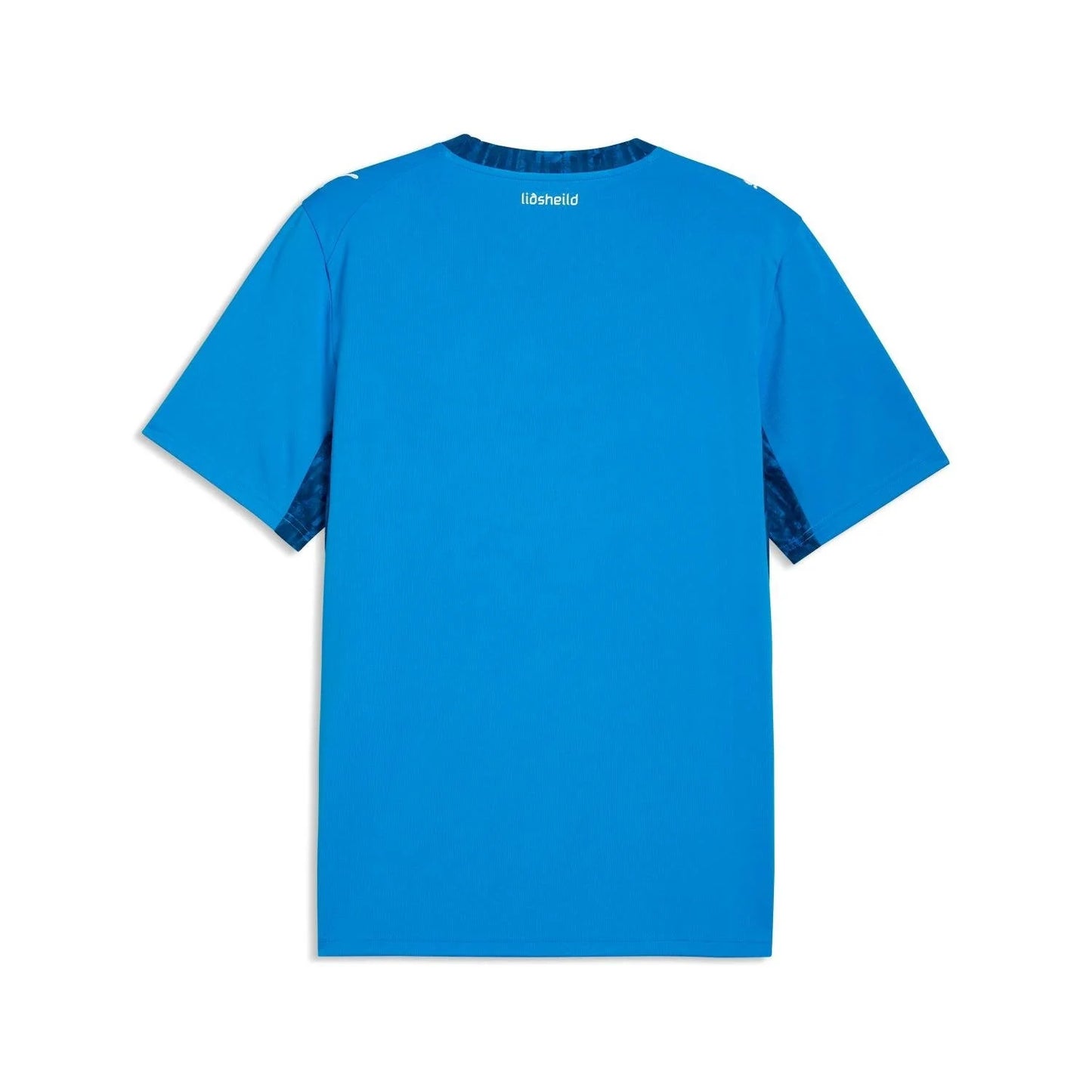 Iceland 2026 Home Jersey - Men's