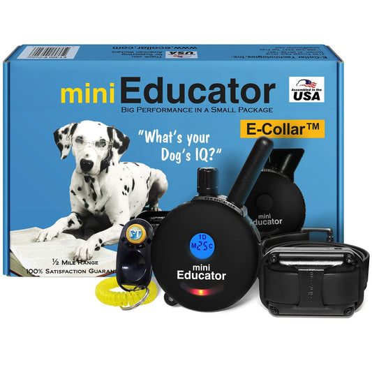 EDUCATOR ET-300 Black Mini E Collar for Dog Training Remote